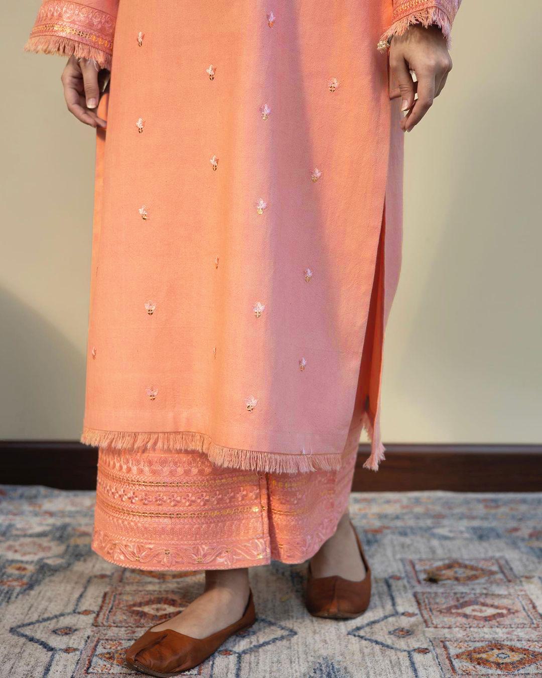 Peach Delight | Dhanak 2-Piece