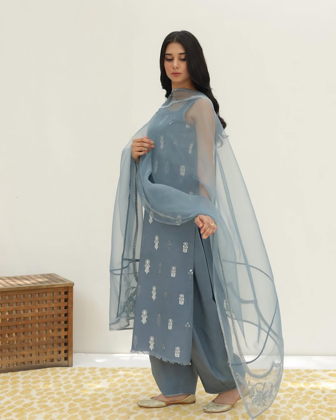 Gray ✨🌚Full Sleeve's Stitched Dress