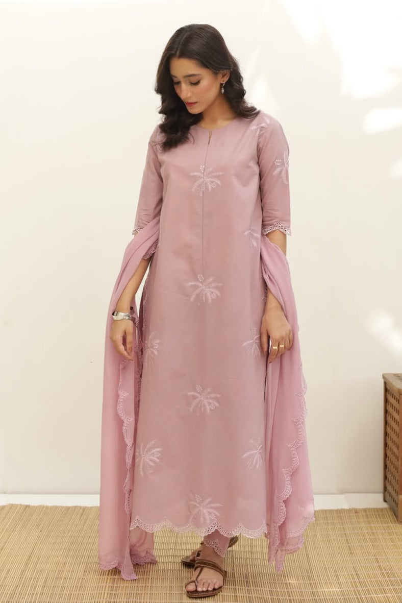 Light Pink 🩷 Full Sleeve's Stitched 🪡 Dress